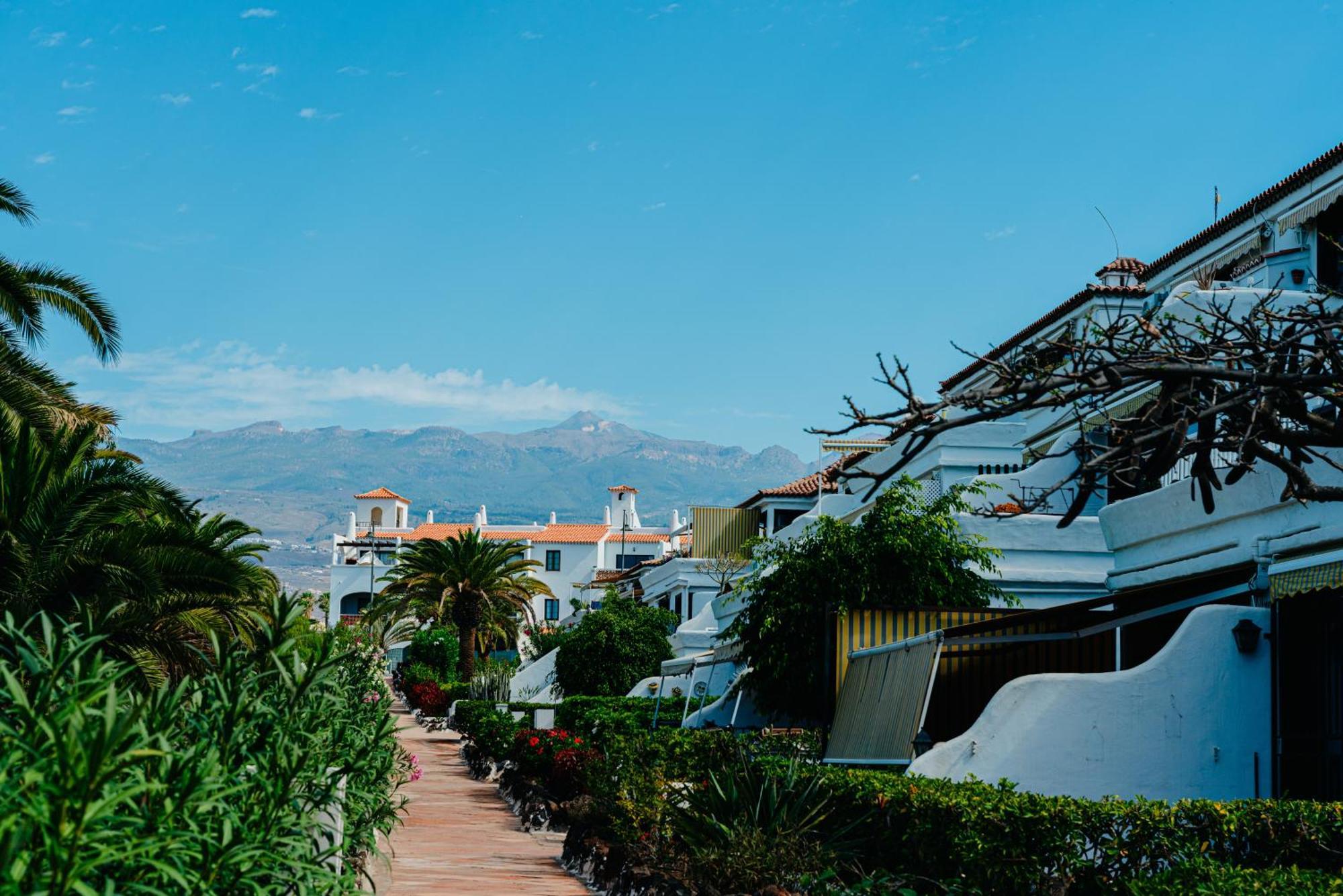 1bdr Sunny Terrace